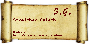 Streicher Galamb névjegykártya